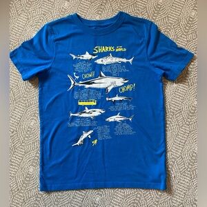 GAP kids XL (12) tee